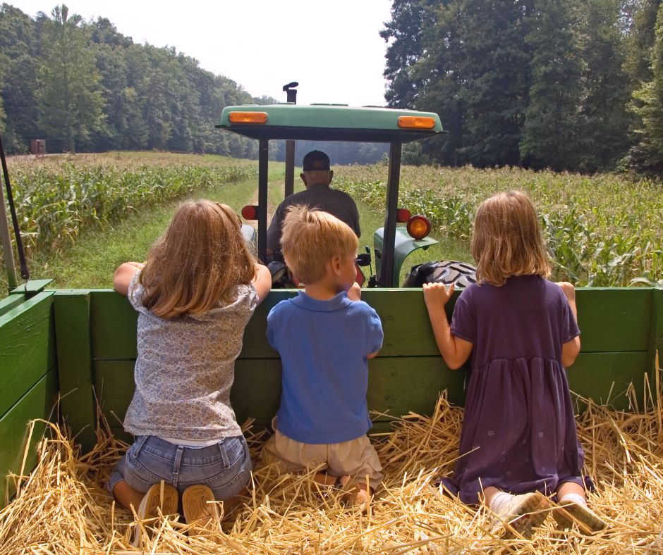 Children riding tractor